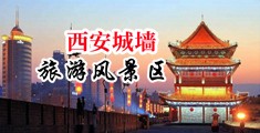 掰开女生逼逼视频中国陕西-西安城墙旅游风景区